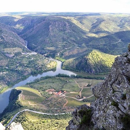 Вилла Moradias Do Douro Internacional Фрейшу-ди-Эшпада-а-Синта Экстерьер фото