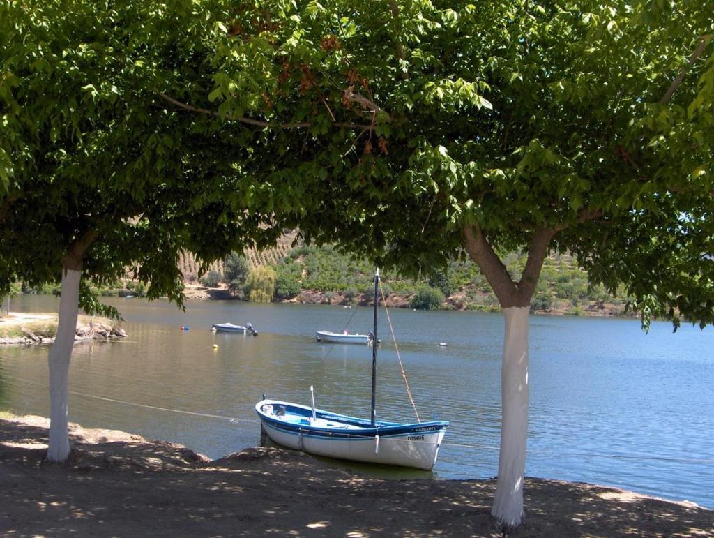 Вилла Moradias Do Douro Internacional Фрейшу-ди-Эшпада-а-Синта Экстерьер фото