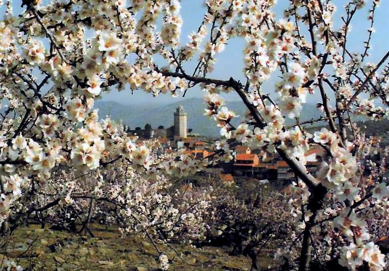 Вилла Moradias Do Douro Internacional Фрейшу-ди-Эшпада-а-Синта Экстерьер фото