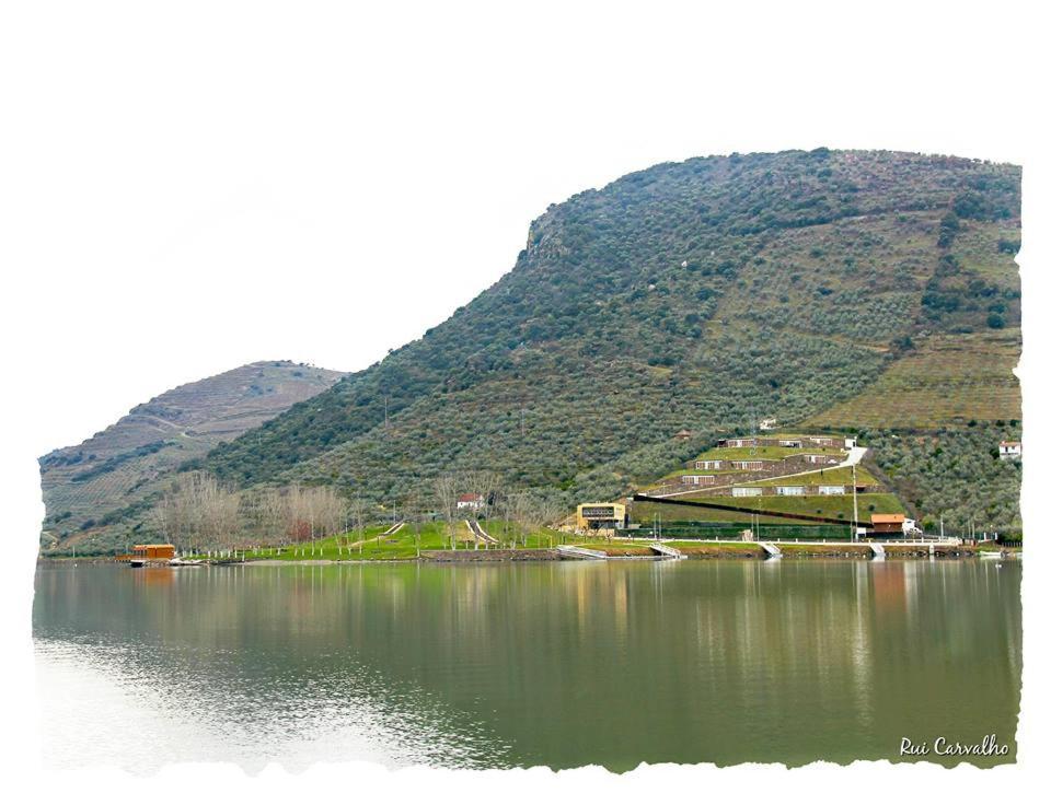 Вилла Moradias Do Douro Internacional Фрейшу-ди-Эшпада-а-Синта Экстерьер фото