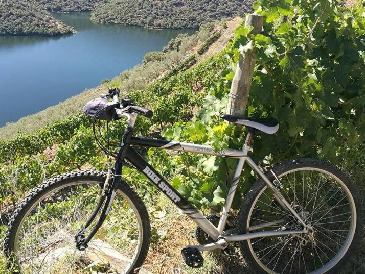 Вилла Moradias Do Douro Internacional Фрейшу-ди-Эшпада-а-Синта Экстерьер фото