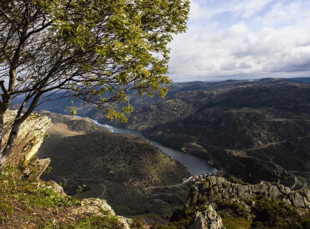 Вилла Moradias Do Douro Internacional Фрейшу-ди-Эшпада-а-Синта Экстерьер фото
