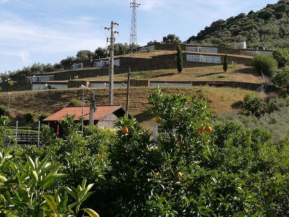 Вилла Moradias Do Douro Internacional Фрейшу-ди-Эшпада-а-Синта Экстерьер фото