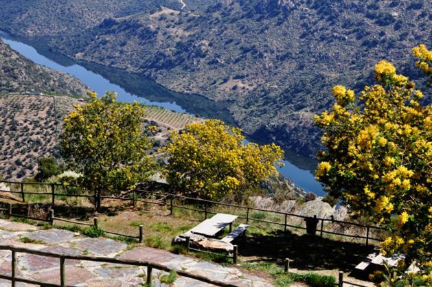 Вилла Moradias Do Douro Internacional Фрейшу-ди-Эшпада-а-Синта Экстерьер фото